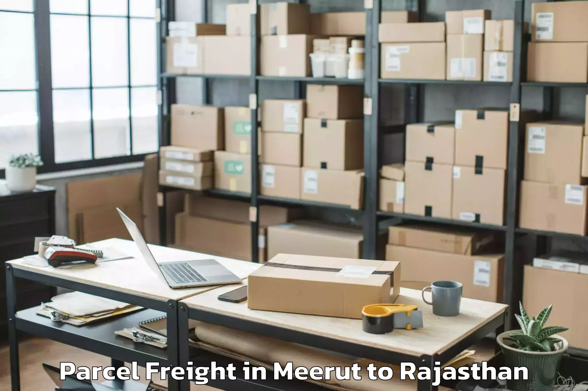 Easy Meerut to Phalodi Parcel Freight Booking